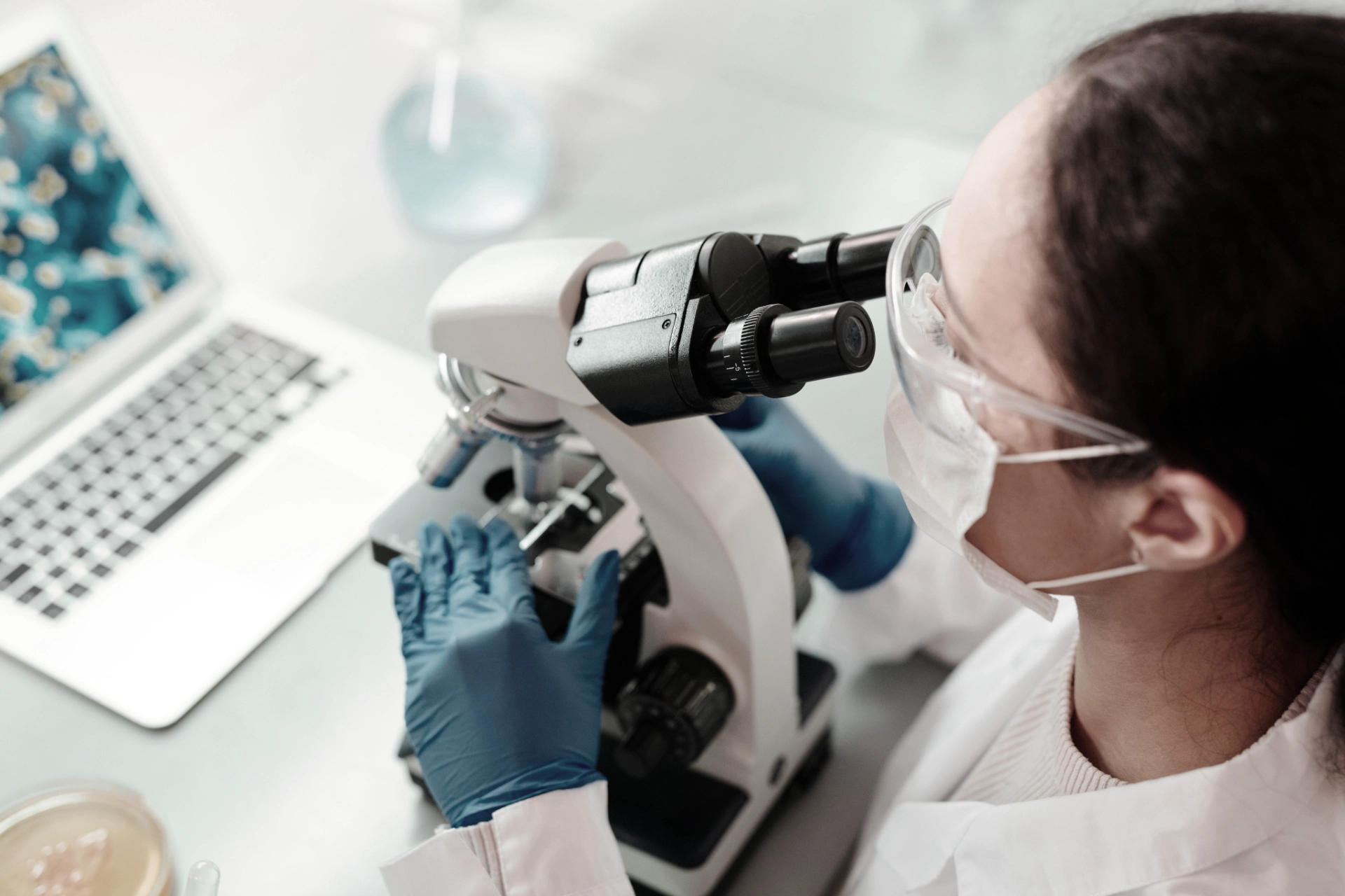 Lab technician testing a molded fibre packaging sample in a laboratory Lab technician testing a molded fibre packaging sample in a laboratory