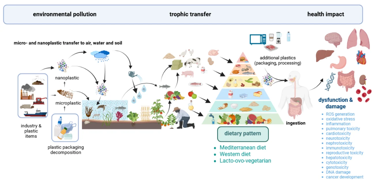 Micro- and Nanoplastics in Food Micro- and Nanoplastics in Food